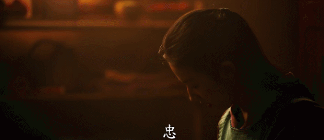《花木兰》为什么没能赢得国内观众的认可？