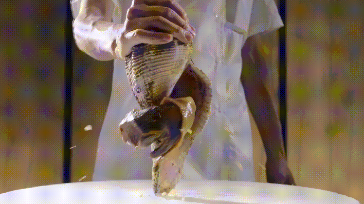 3月17日 (1)(21).gif