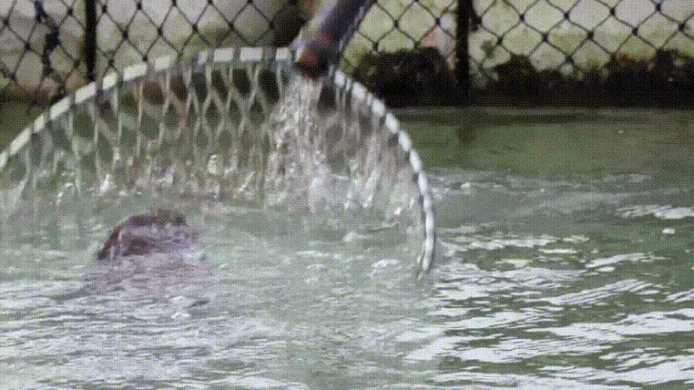 3月17日 (1)(27).gif