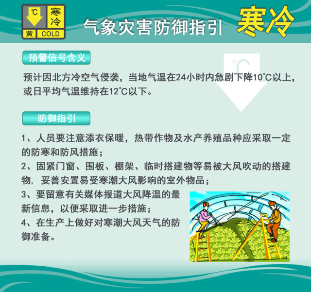 寒冷防御指引-黄色预警.gif