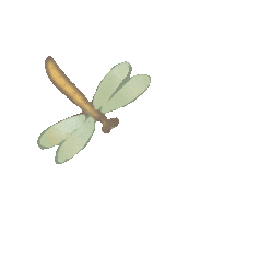 ͼƬ