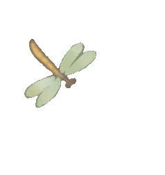 ͼƬ