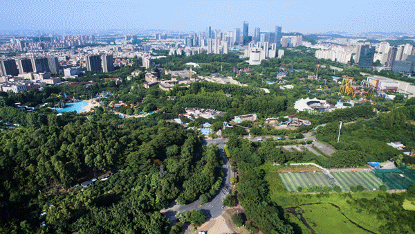 番禺越秀万博瑞麓府126-250㎡大平层，单价4.6万起!