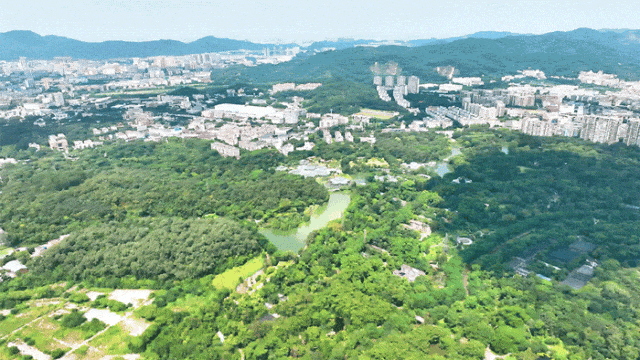 总价450万起，中建天河精诚壹号周边配套怎么样？