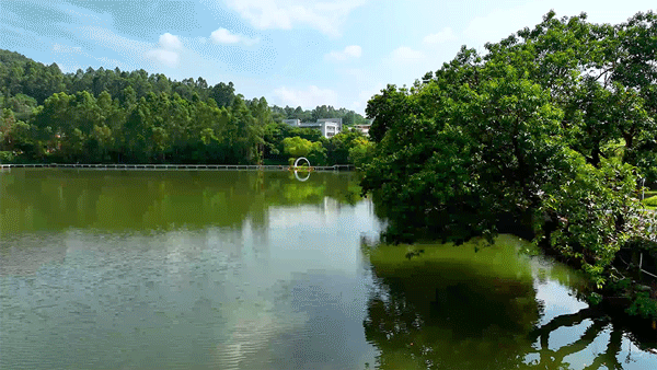 总价450万起，中建天河精诚壹号周边配套怎么样？