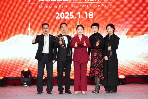  What progress will be made in welcoming the new year in 202