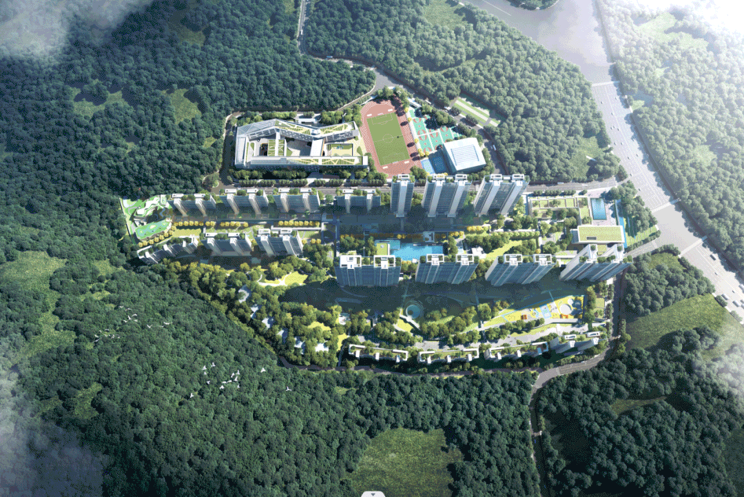 番禺越秀万博瑞麓府加推11栋，253平大平层值得入手！