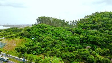 南沙佳兆业凤鸣山高层洋房新品加推，值不值得买？