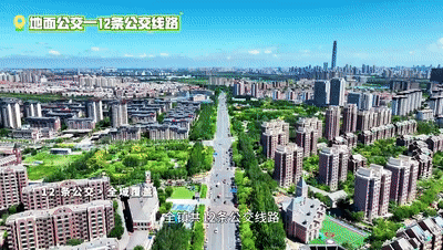 动图4.gif