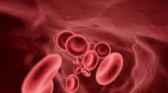 三氧疗法怎么代理三氧治疗全解析_https://www.jmylbn.com_新闻资讯_第2张