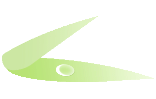 ""