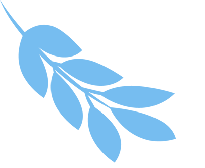 怎么分析生化质控生化检验报告“避坑”攻略：从采血到发报告的隐形干扰与破解之道_https://www.jmylbn.com_新闻资讯_第5张