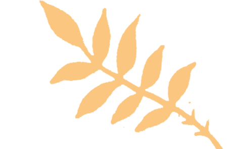 怎么分析生化质控生化检验报告“避坑”攻略：从采血到发报告的隐形干扰与破解之道_https://www.jmylbn.com_新闻资讯_第4张