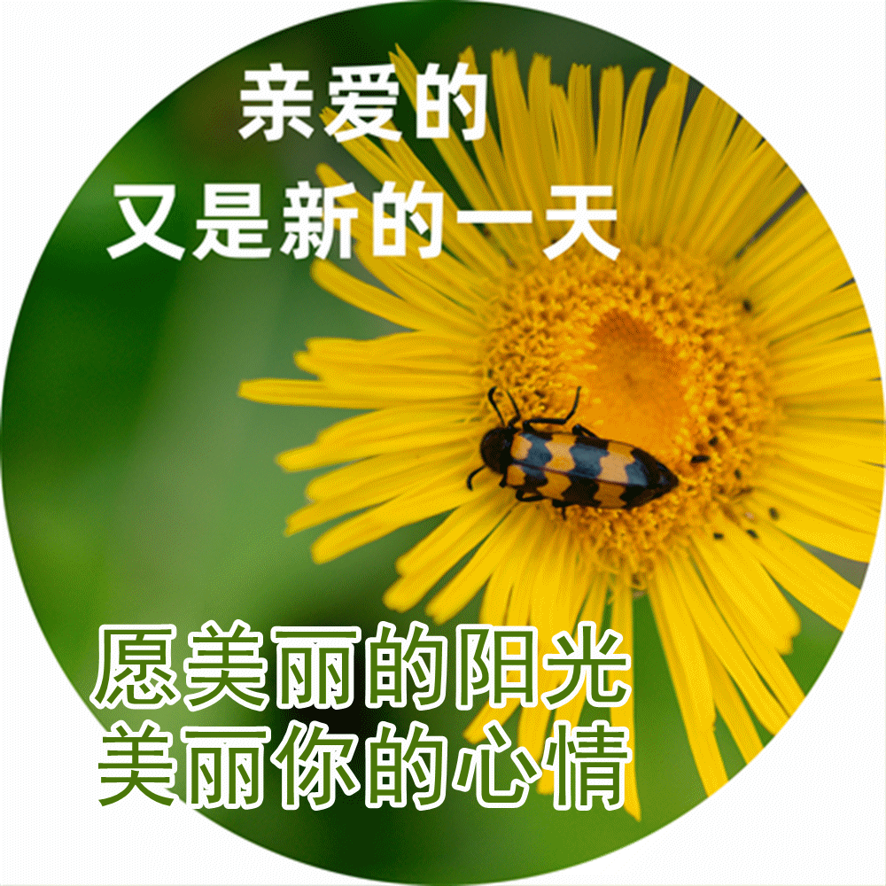 清晨早上好问候语祝福句子 早安温馨祝福图片-旺易创业