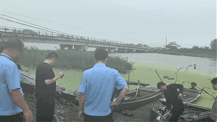 11.gif