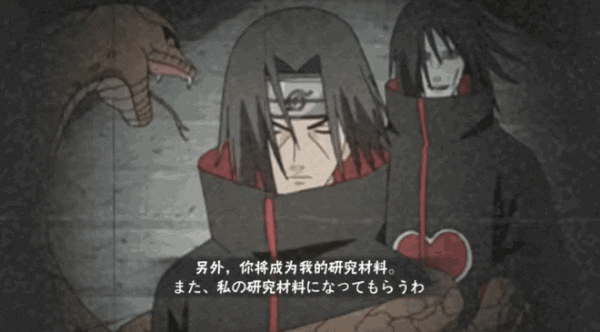 【奥义彩蛋】关系“融洽”“晓”组织，彩蛋多得数不清！