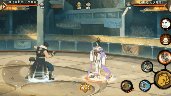 【忍者攻略】阿斯玛怀中抱红杀？