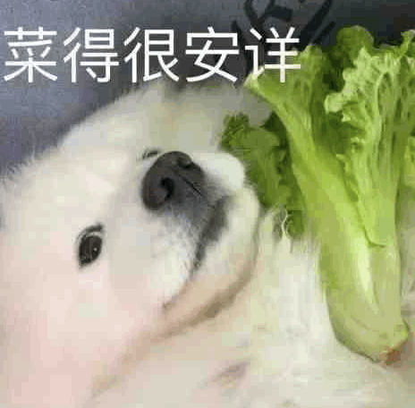 自杀式备考托福,你躺枪了吗?