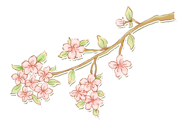 信丰县信息公开