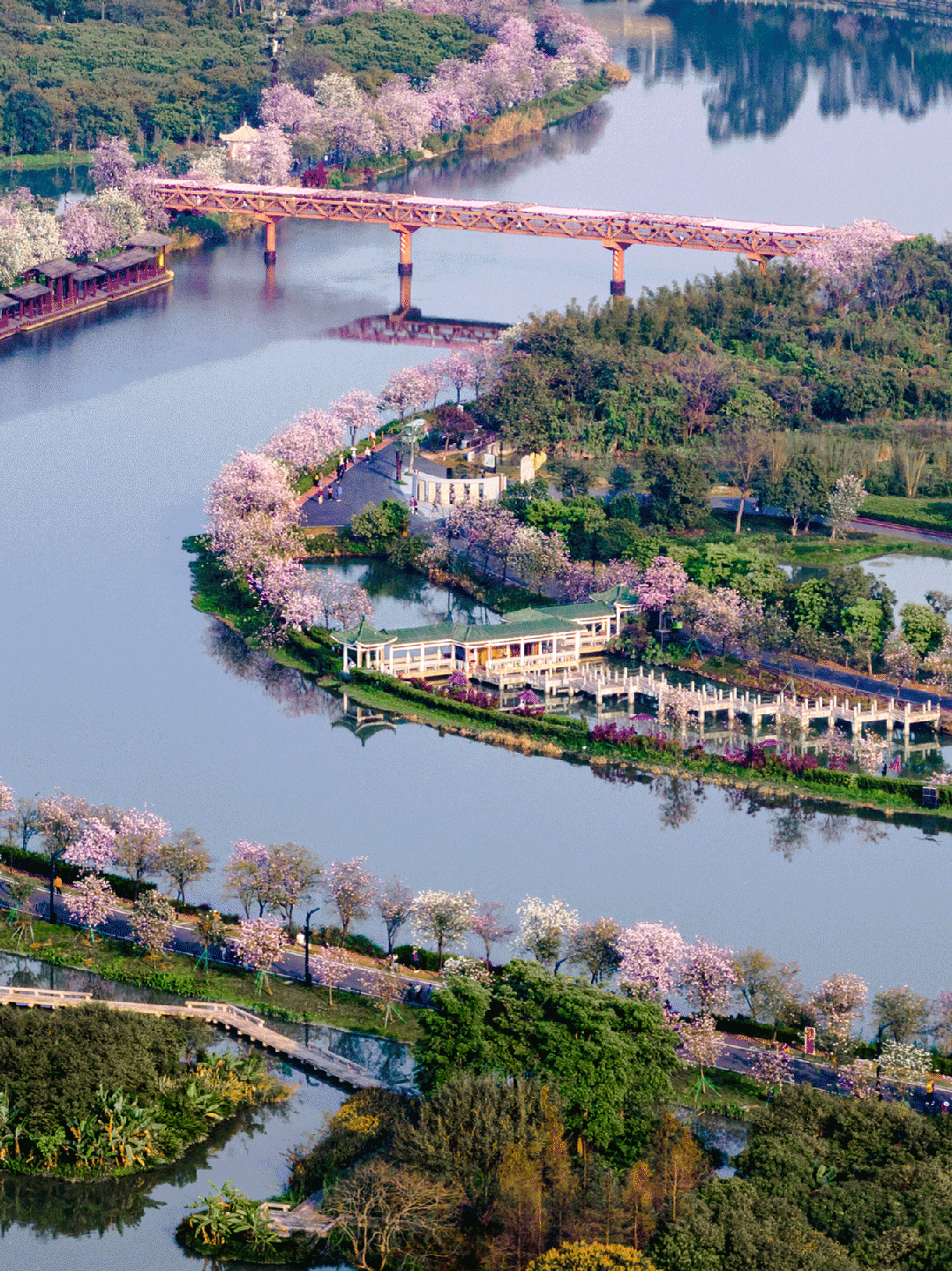 广州南中轴的糖,后劲有多大?