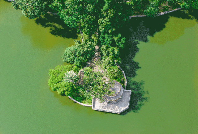 天河公园一手现楼天麟府瑧林113~172㎡，即买即入住