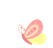 DƬ