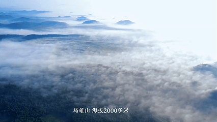 640 (4).gif