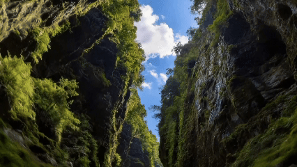640 (8).gif