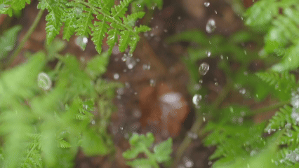 640 (7).gif