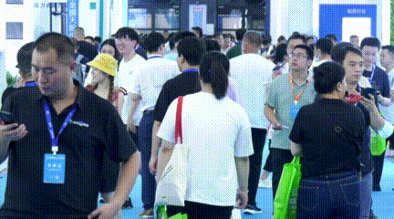5.gif
