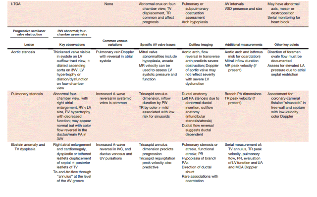 胎儿mt是什么检查什么疼吗ASE胎儿超声心动图检查指南及建议（更新）IV. 针对特定疾病的解剖、生理和功能胎儿超声心动图评估指南-C.结构性心脏病-iv_https://www.jmylbn.com_新闻资讯_第17张
