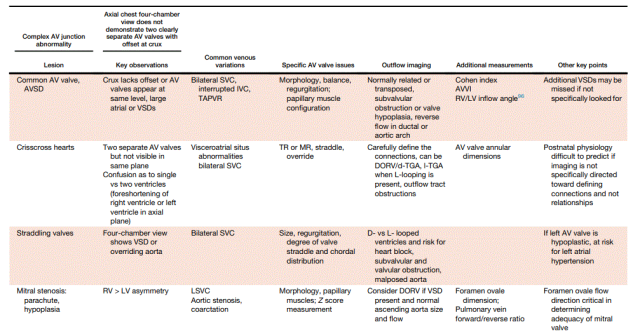 胎儿mt是什么检查什么疼吗ASE胎儿超声心动图检查指南及建议（更新）IV. 针对特定疾病的解剖、生理和功能胎儿超声心动图评估指南-C.结构性心脏病-iv_https://www.jmylbn.com_新闻资讯_第15张