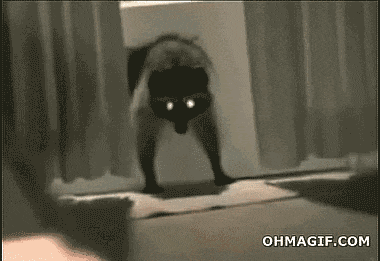 image26.GIF
