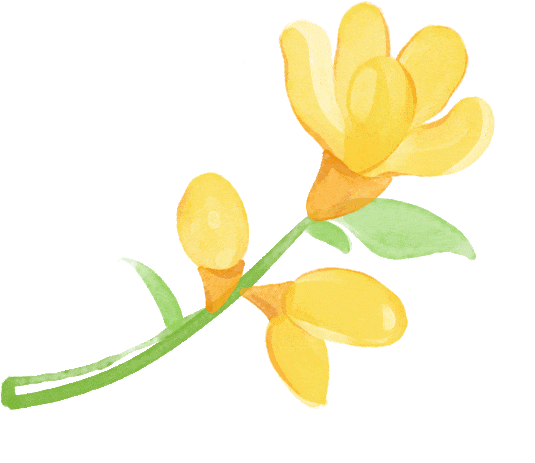 中药热奄包怎么蒸热奄包，为何成为养生达人的心头好？_https://www.jmylbn.com_新闻资讯_第4张