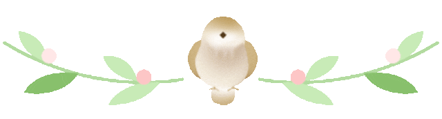 中药热奄包怎么蒸热奄包，为何成为养生达人的心头好？_https://www.jmylbn.com_新闻资讯_第11张