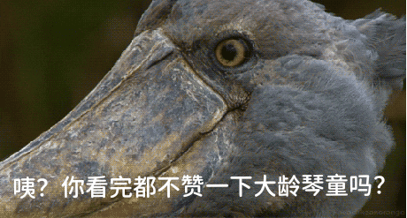 中频为什么能镇痛【理疗进阶】原来中频电疗法这么多讲究，难怪你做的效果不好！_https://www.jmylbn.com_新闻资讯_第13张