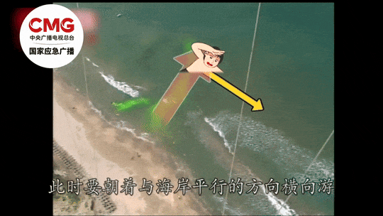 城市内涝怎么办?这些避险要点请牢记