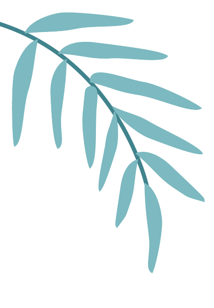 步态分析上曲线怎么解读康复科普｜常见异常步态的介绍及测试_https://www.jmylbn.com_新闻资讯_第2张