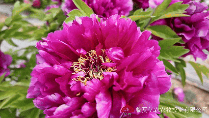 5月12日7.gif
