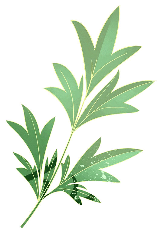 醫(yī)學(xué)專(zhuān)科高考分?jǐn)?shù)線_專(zhuān)科醫(yī)學(xué)院分?jǐn)?shù)_2024年黔南民族醫(yī)學(xué)高等專(zhuān)科學(xué)校錄取分?jǐn)?shù)線及要求