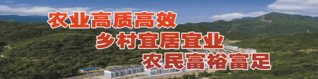 广大淫羊藿种植户，“火种小组”提醒您：近期淫羊藿价格参考来啦~