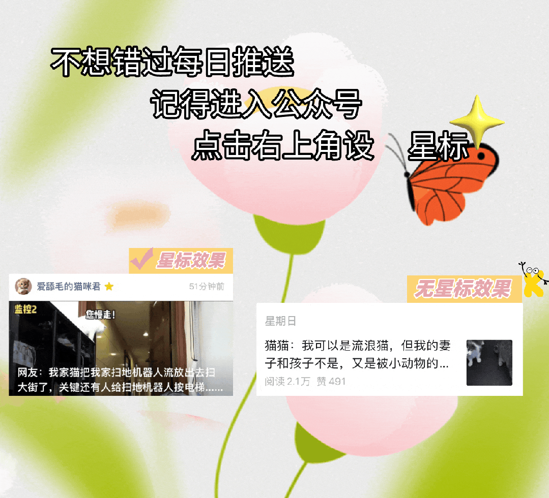 猫妈妈洪水中叼着小猫绝处求生