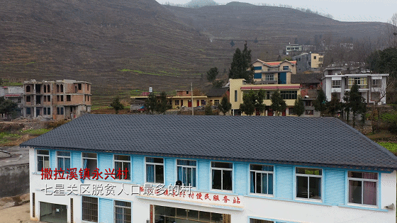 ��������Ͻ������ǹ�����������