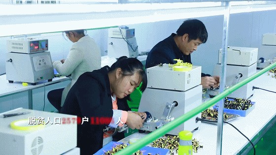 ��������Ͻ������ǹ�����������