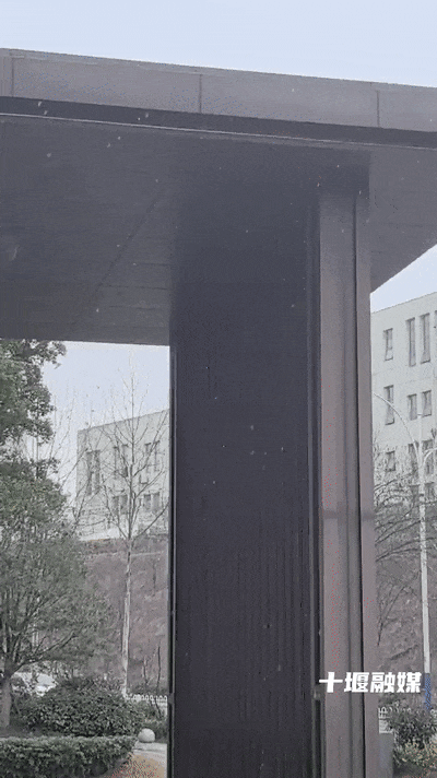 十堰雪“闪现”！今早飘雪下午转晴 暖冬模式一键切换