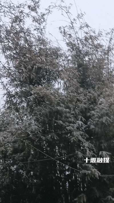 十堰雪“闪现”！今早飘雪下午转晴 暖冬模式一键切换
