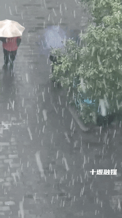 十堰雪“闪现”！今早飘雪下午转晴 暖冬模式一键切换