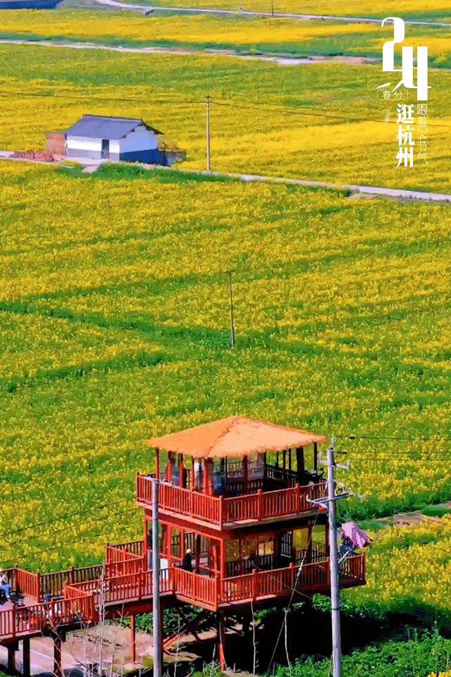 春分打logo-动图1.gif