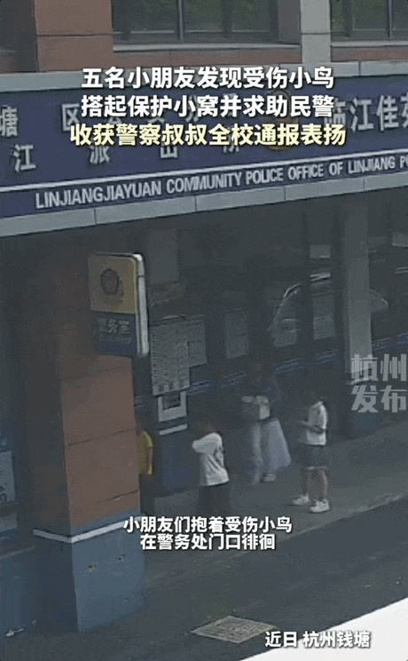 May-10-2026 10-23-27.gif