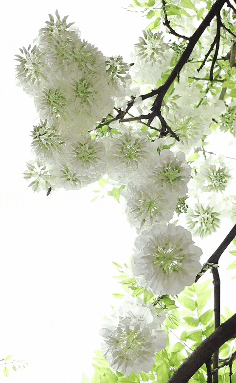 GIF 2026-4-16 10-21-15.gif